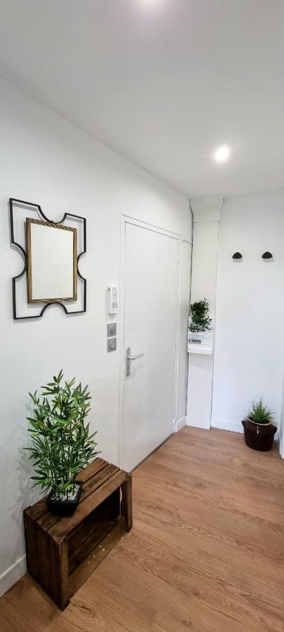 Studio Simone - Terrasse Et Jardin - Tv - Wifi Toulouse Luaran gambar