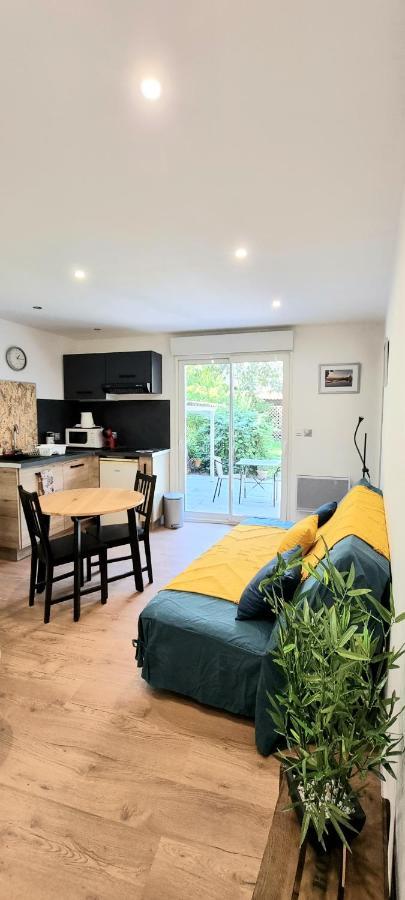 Studio Simone - Terrasse Et Jardin - Tv - Wifi Toulouse Luaran gambar