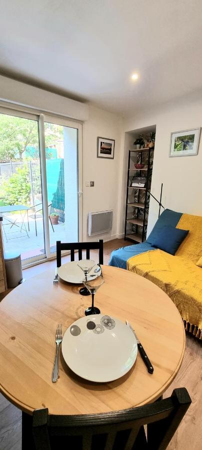 Studio Simone - Terrasse Et Jardin - Tv - Wifi Toulouse Luaran gambar