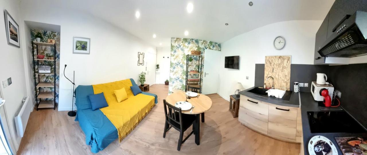 Studio Simone - Terrasse Et Jardin - Tv - Wifi Toulouse Luaran gambar